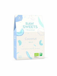 Coconut Balls 100g Raw Sweets by Mihaela