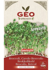 Broccoli Seed for Sprouts - Organic 13g Geo