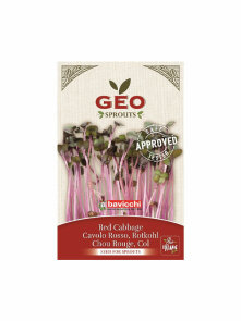 Red Cabbage Seed for Sprouts - Organic 12g Geo