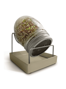 Sprouting Jar Geo