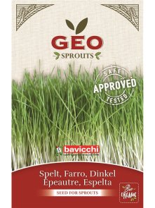 Spelt Seed for Sprouts - Organic 400g Geo