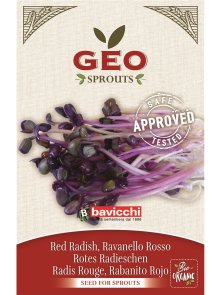 Red Radish Seed for Sprouts - Organic 11g Geo