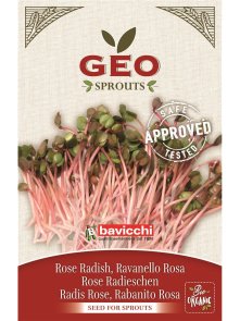 Pink Radish Seed for Sprouts - Organic 20g Geo