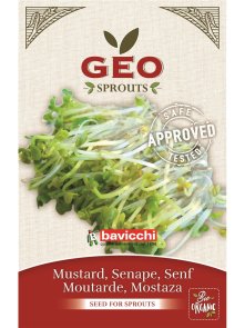 Mustard Seed for Sprouts - Organic 50g Geo