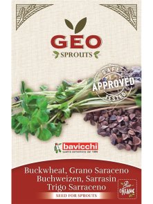 Buckwheat Seed for Sprouts - Organic 90g Geo