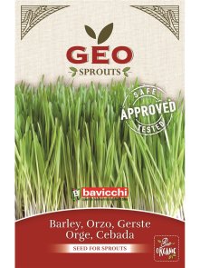 Barley Seed for Sprouts - Organic 600g Geo