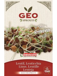Lentil Seed for Sprouts - Organic 90g Geo