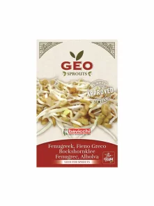 Fenugreek Seed for Sprouts - Organic 35g Geo