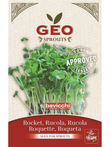 Arugula Seed for Sprouts - Organic 30g Geo