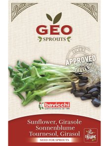 Sunflower Seed for Sprouts - Organic 80g Geo