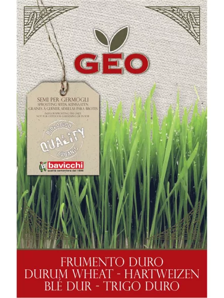 Durum Wheat Seed for Sprouts - Organic 600g Geo