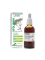 Soria Natural yarrow xxl complex drops in a 50ml glass bottle with a dropper