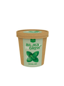 Plant 2 Grow Basil 300g Biljkoborci