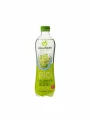 Lightly Carbonated Elderflower Juice - Organic 500ml Hollinger