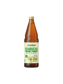 Kombucha Lime & Ginger Drink - Organic 0.75l Voelkel