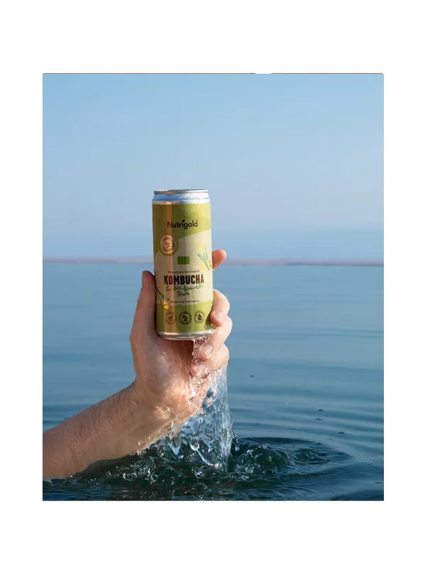 Kombucha Ginger & Lemongrass - Organic 330ml Nutrigold