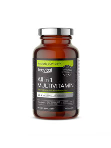 All in 1 Multivitamin - 90 Capsules Leovital