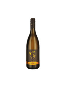 Pinot Grigio Orange - Organic 0,75l Bolfan Primus