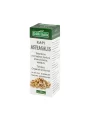 Astragalus Tincture Drops - 50ml DARvitalis