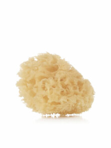 Natural Sea Sponge 10-12 cm - La Corvette Marseille