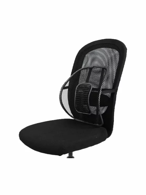 Back Rest Lumbar Support - Swedish Posture