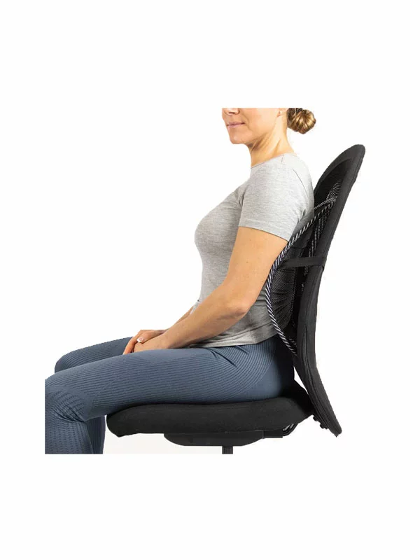 Back Rest Lumbar Support - Swedish Posture