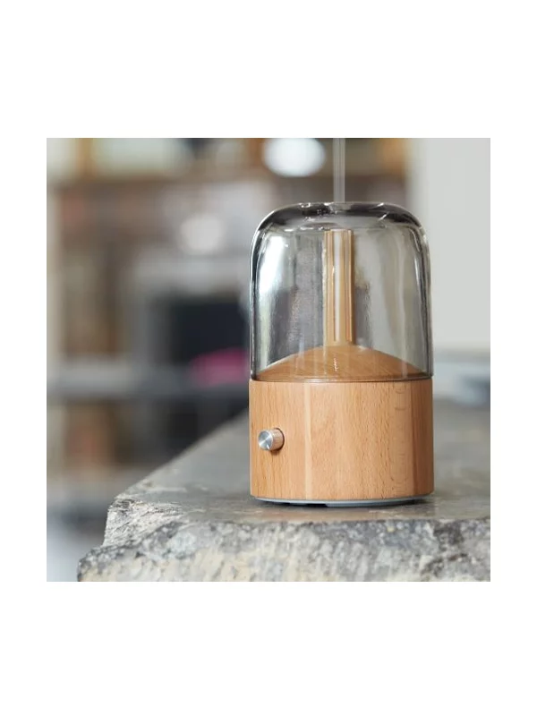 Diffuser & Humidifier Davy Mist - Lanaform