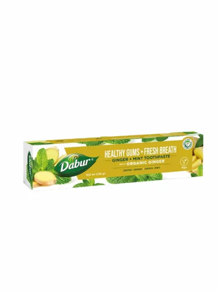 Ayurvedic Toothpaste Ginger & Mint - 100ml Dabur