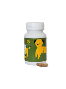 Apipet Flexi Joint & Bone Support for Dogs - 60 Capsules Apipet