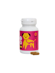 Apipet Gastro Natural Digestive Support for Dogs - 60 Capsules Apipet