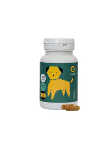 Capsules For Healthy Skin & Shiny Dog ​Fur - 60 Capsules Apipet