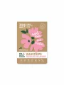 Eco Laundry Sheets Spring Breeze - 32 pcs the good brand