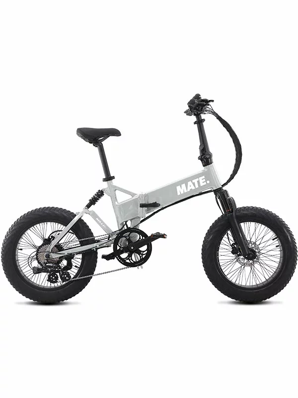 Mate X Evo 250W - Silver Comet