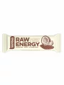 Raw Bar Coconut & Cocoa - Organic 50g Bombus