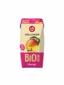 Mango Juice - Organic 200ml Hollinger