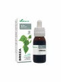 Soria Natural birch drops in a 50ml glass bottle with a dropper