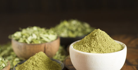 Moringa is an exquisite source of iron and the storehouse of nutrients