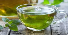 Fight bacteria and viruses with oregano tea
