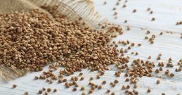 Buckwheat - a highly nutritious superfood