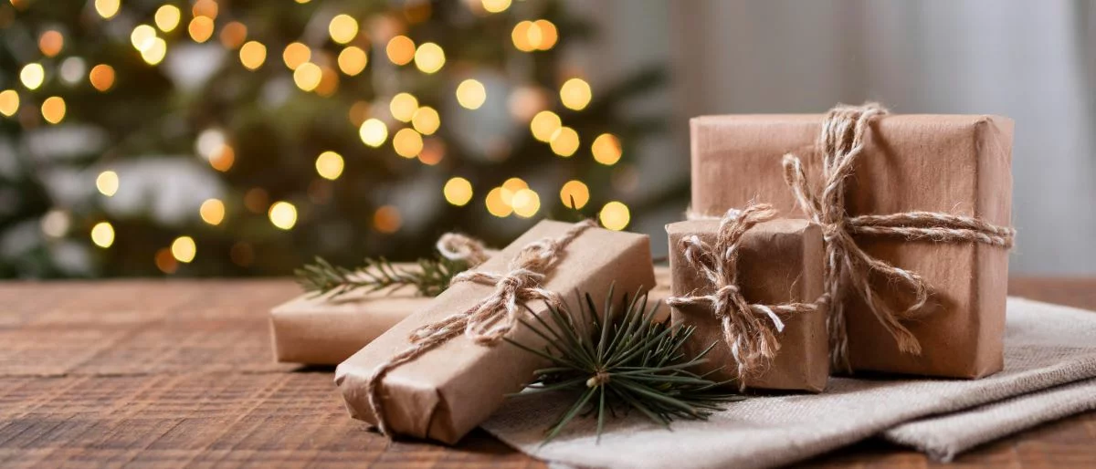 Ready for Christmas? Not before our gift suggestions!