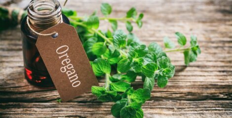 Why is wild oregano oil so precious and prized?